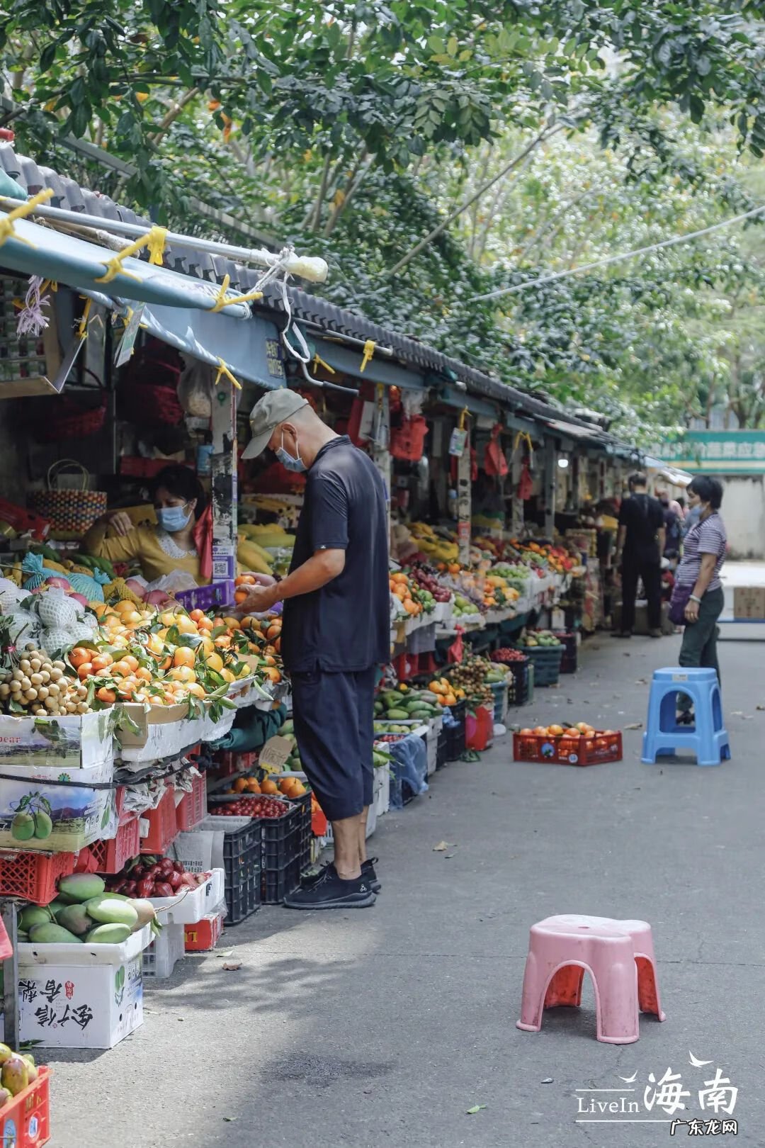 海南金鸡岭风水宝地 海南风水宝地金鸡岭周家