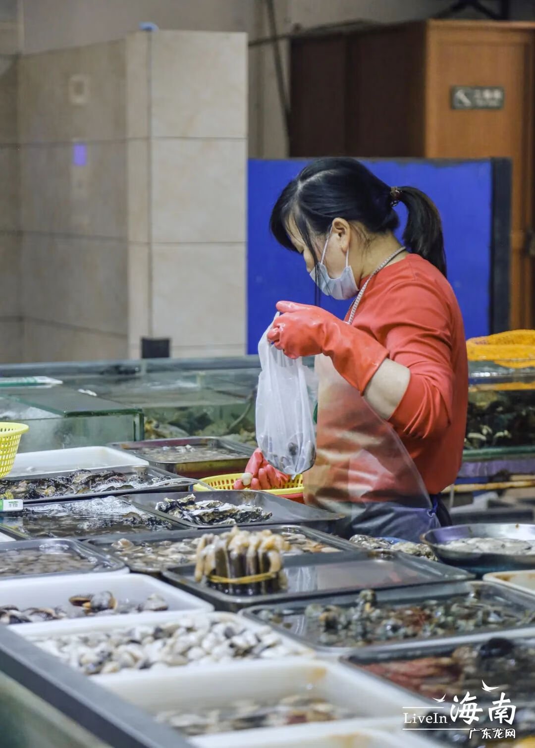 海南金鸡岭风水宝地 海南风水宝地金鸡岭周家