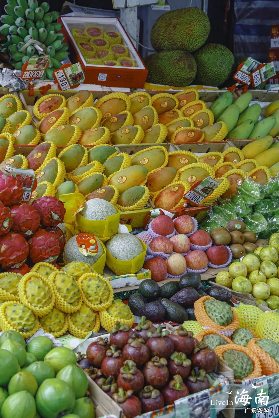 海南金鸡岭风水宝地 海南风水宝地金鸡岭周家