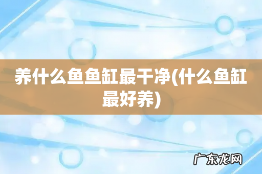 什么鱼缸最好养 养什么鱼鱼缸最干净