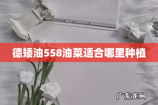 德矮油558油菜适合哪里种植