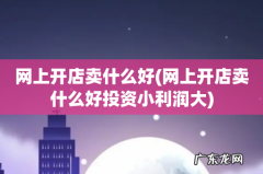 网上开店卖什么好投资小利润大 网上开店卖什么好