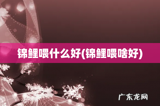 锦鲤喂啥好 锦鲤喂什么好