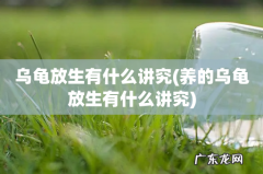 养的乌龟放生有什么讲究 乌龟放生有什么讲究