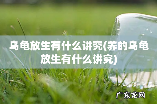 养的乌龟放生有什么讲究 乌龟放生有什么讲究