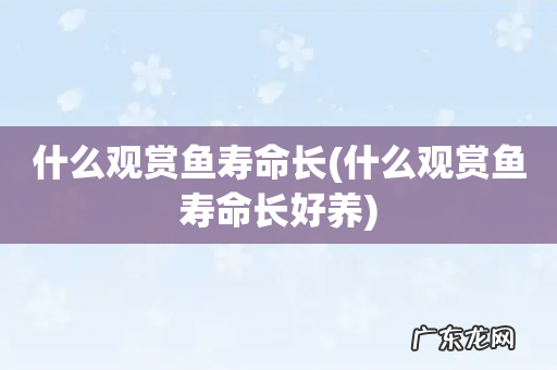什么观赏鱼寿命长好养 什么观赏鱼寿命长