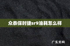众泰保时捷sr9油耗怎么样