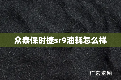 众泰保时捷sr9油耗怎么样