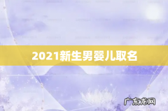 2021新生男婴儿取名