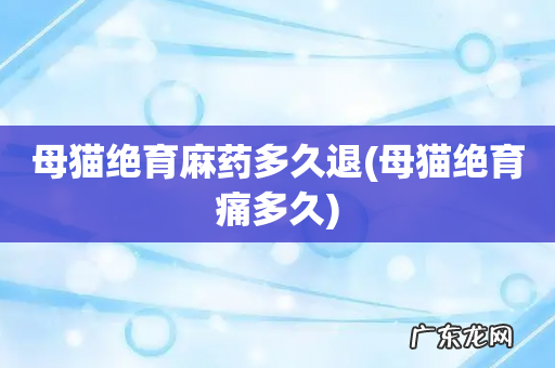 母猫绝育痛多久 母猫绝育麻药多久退