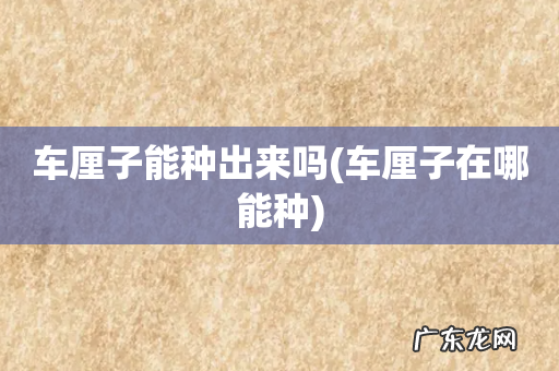 车厘子在哪能种 车厘子能种出来吗