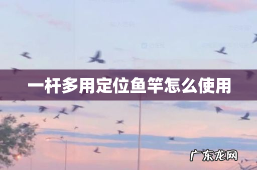 一杆多用定位鱼竿怎么使用