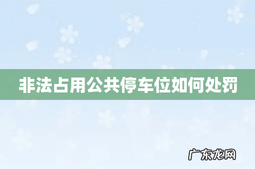 非法占用公共停车位如何处罚