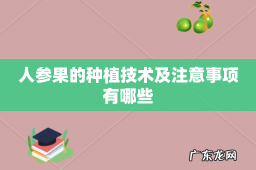 人参果的种植技术及注意事项有哪些