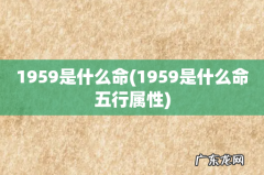 1959是什么命五行属性 1959是什么命