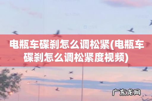 电瓶车碟刹怎么调松紧度视频 电瓶车碟刹怎么调松紧