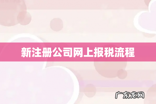新注册公司网上报税流程