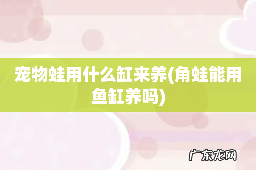 角蛙能用鱼缸养吗 宠物蛙用什么缸来养