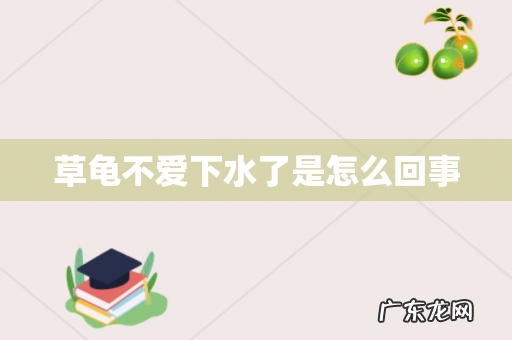 草龟不爱下水了是怎么回事