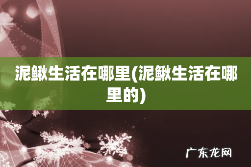 泥鳅生活在哪里的 泥鳅生活在哪里