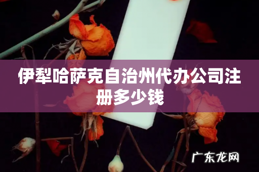 伊犁哈萨克自治州代办公司注册多少钱