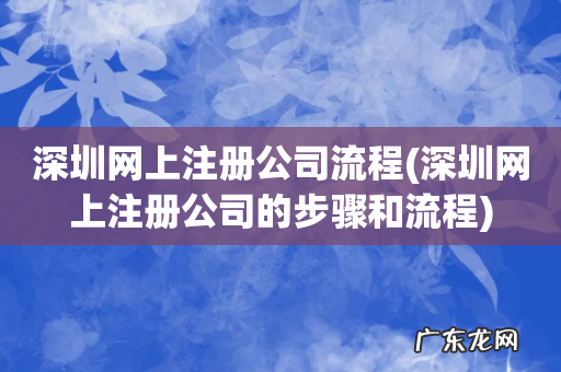 深圳网上注册公司的步骤和流程 深圳网上注册公司流程