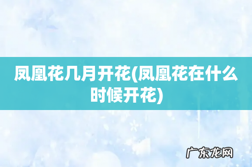 凤凰花在什么时候开花 凤凰花几月开花