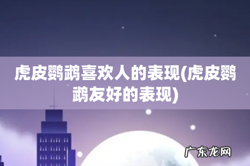 虎皮鹦鹉友好的表现 虎皮鹦鹉喜欢人的表现