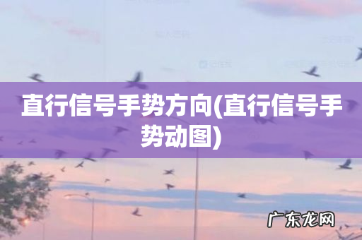 直行信号手势动图 直行信号手势方向