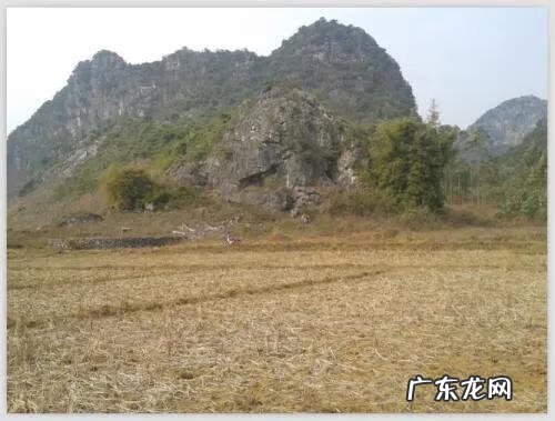 犀牛望月风水宝地 犀牛望月风水图形