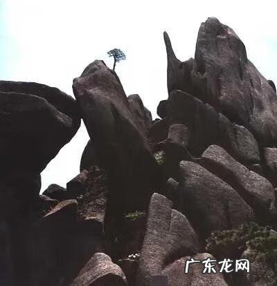 犀牛望月风水宝地 犀牛望月风水图形