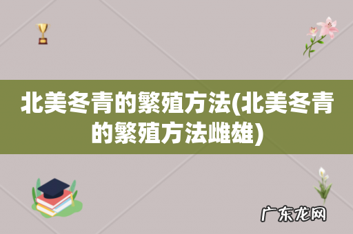 北美冬青的繁殖方法雌雄 北美冬青的繁殖方法