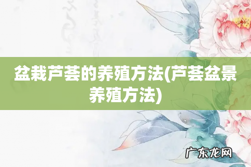 芦荟盆景养殖方法 盆栽芦荟的养殖方法