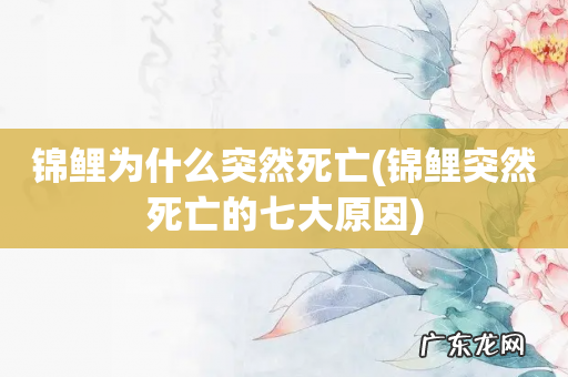 锦鲤突然死亡的七大原因 锦鲤为什么突然死亡