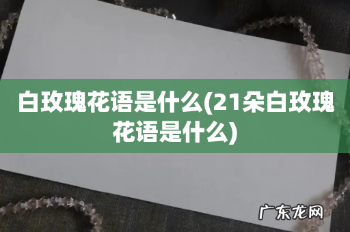 21朵白玫瑰花语是什么 白玫瑰花语是什么