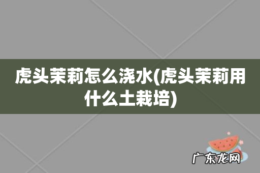 虎头茉莉用什么土栽培 虎头茉莉怎么浇水