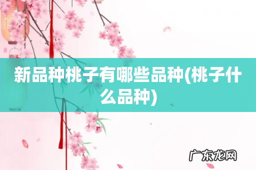 桃子什么品种 新品种桃子有哪些品种