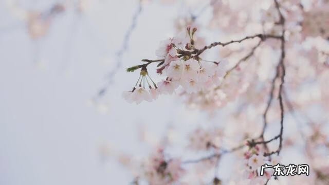 韩国的主要城市和旅游景点 去韩国旅游