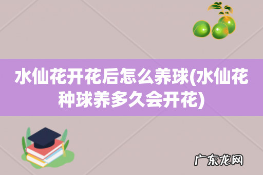水仙花种球养多久会开花 水仙花开花后怎么养球