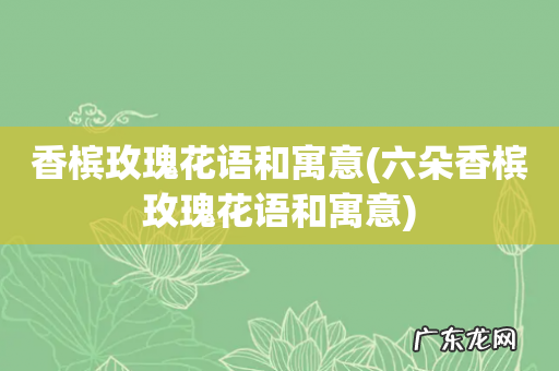 六朵香槟玫瑰花语和寓意 香槟玫瑰花语和寓意