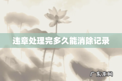 违章处理完多久能消除记录