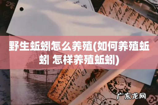 如何养殖蚯蚓 怎样养殖蚯蚓 野生蚯蚓怎么养殖