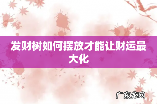 发财树如何摆放才能让财运最大化