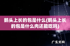 鹅头上长的包是什么肉还能吃吗 鹅头上长的包是什么