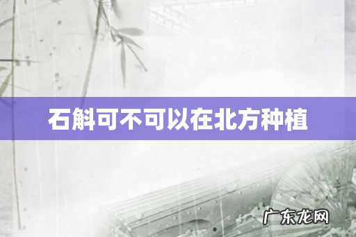 石斛可不可以在北方种植