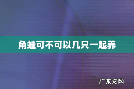 角蛙可不可以几只一起养