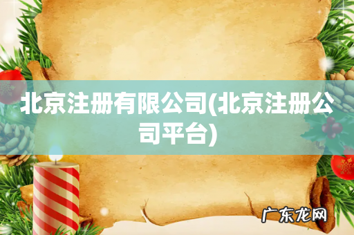 北京注册公司平台 北京注册有限公司