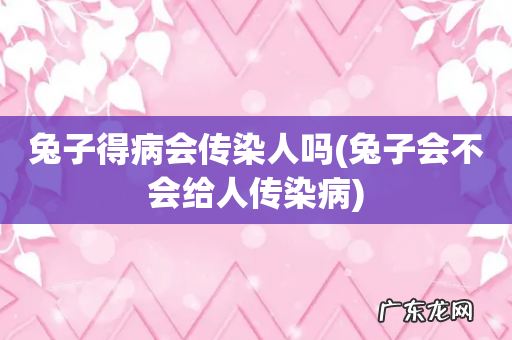 兔子会不会给人传染病 兔子得病会传染人吗