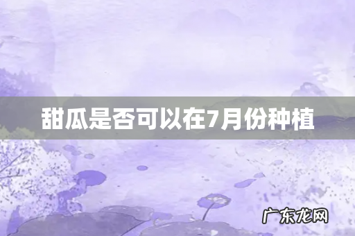 甜瓜是否可以在7月份种植