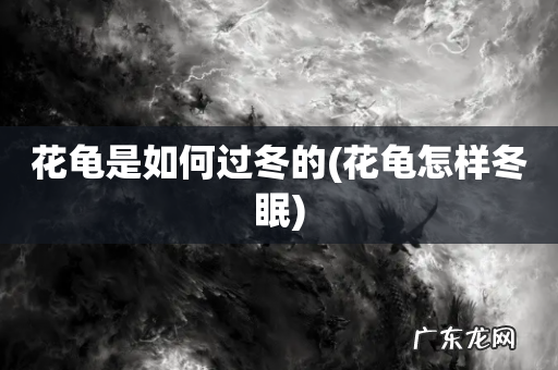 花龟怎样冬眠 花龟是如何过冬的